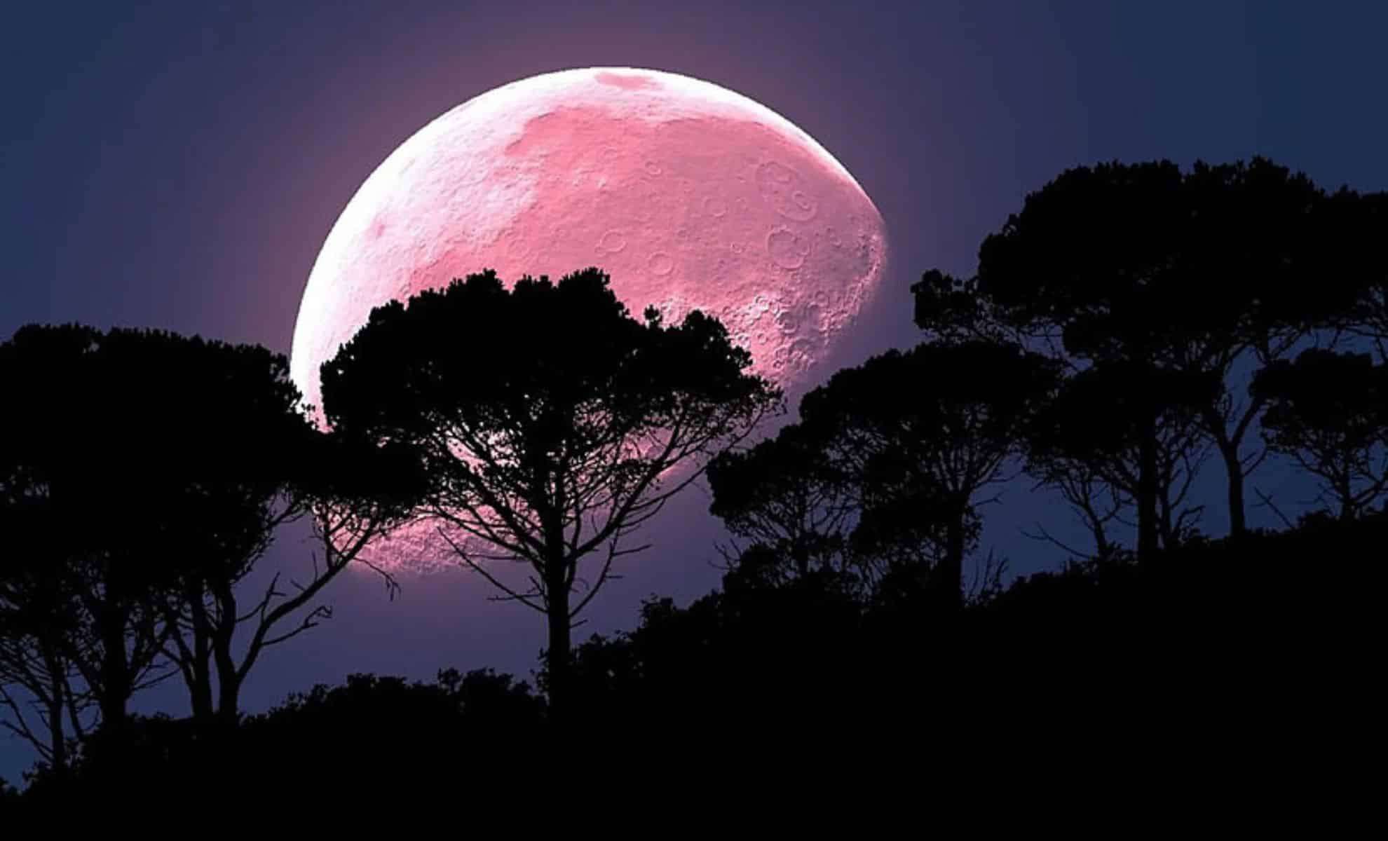 Experience the Stunning 2024 Strawberry Moon This June 21st 