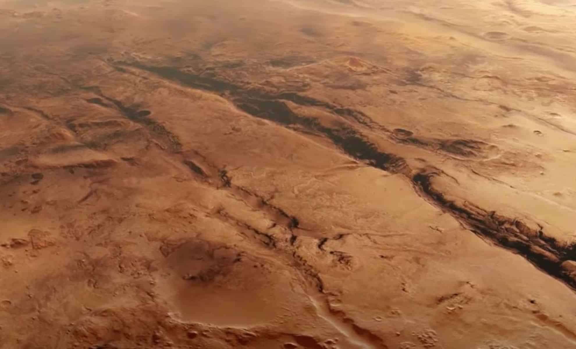 3503f9f40ca97de7a69b6120a0e83ca0.jpg