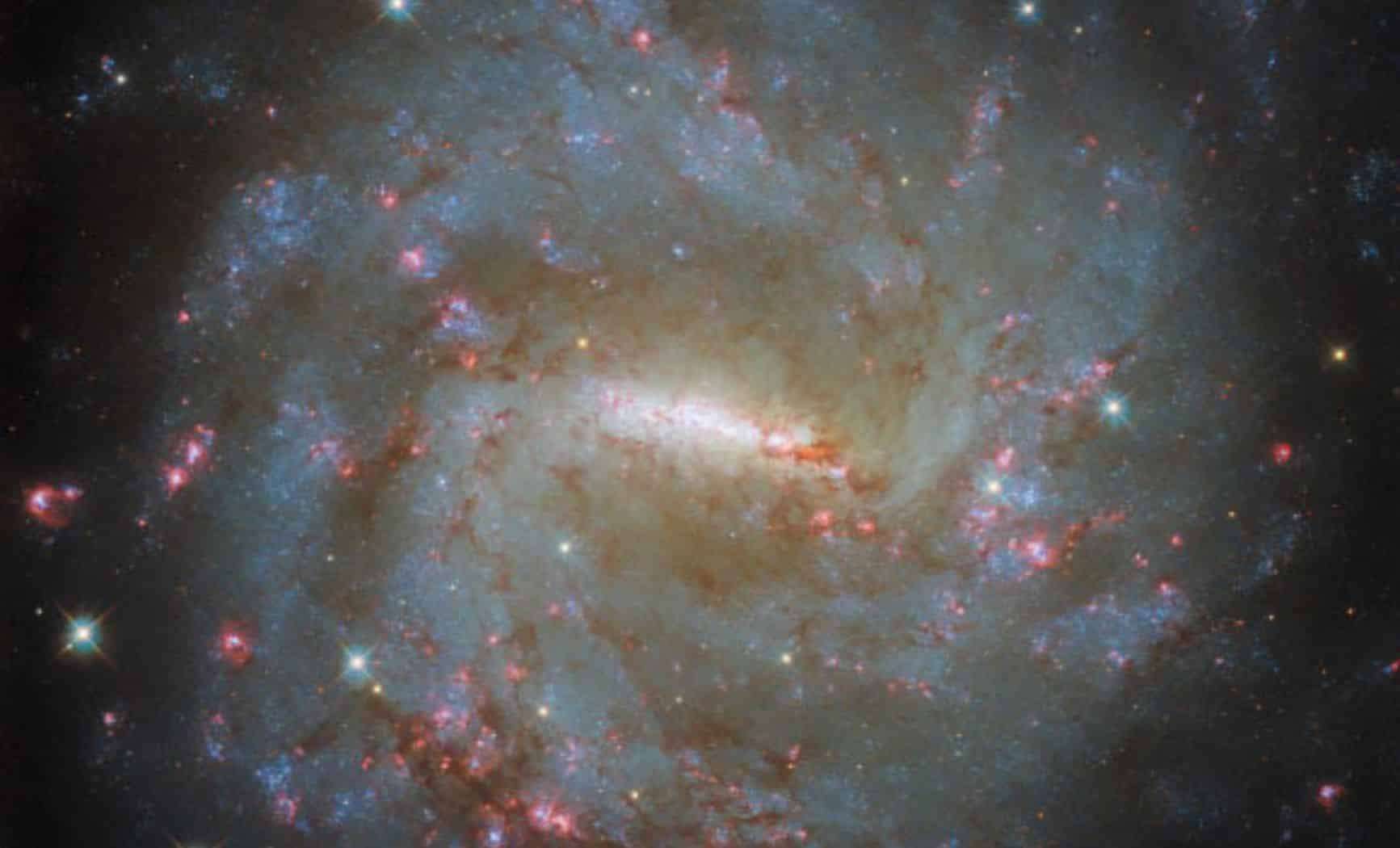 Hubble Uncovers the Intricate Star Formation Within Galaxy NGC 3059 