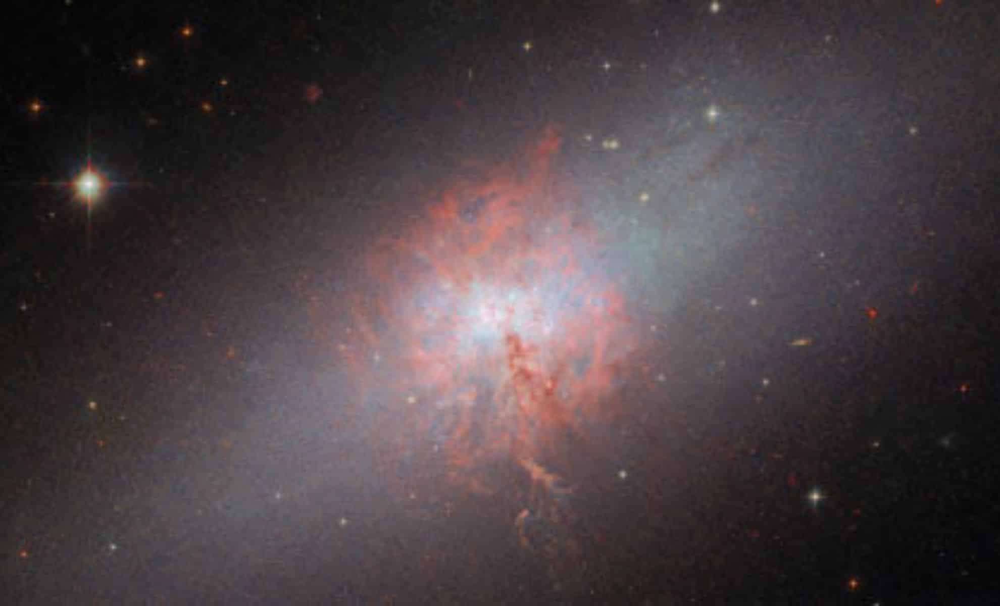 Hubble Reveals Dynamic Star Formation in the Dwarf Galaxy NGC 5253 