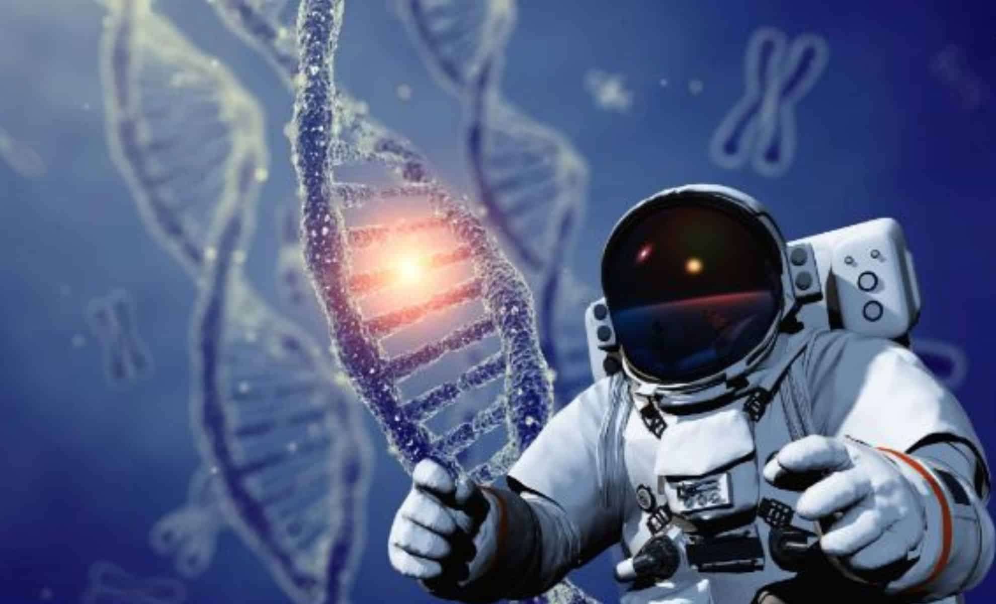 The Role of Genetic Engineering in Pioneering Space Exploration 