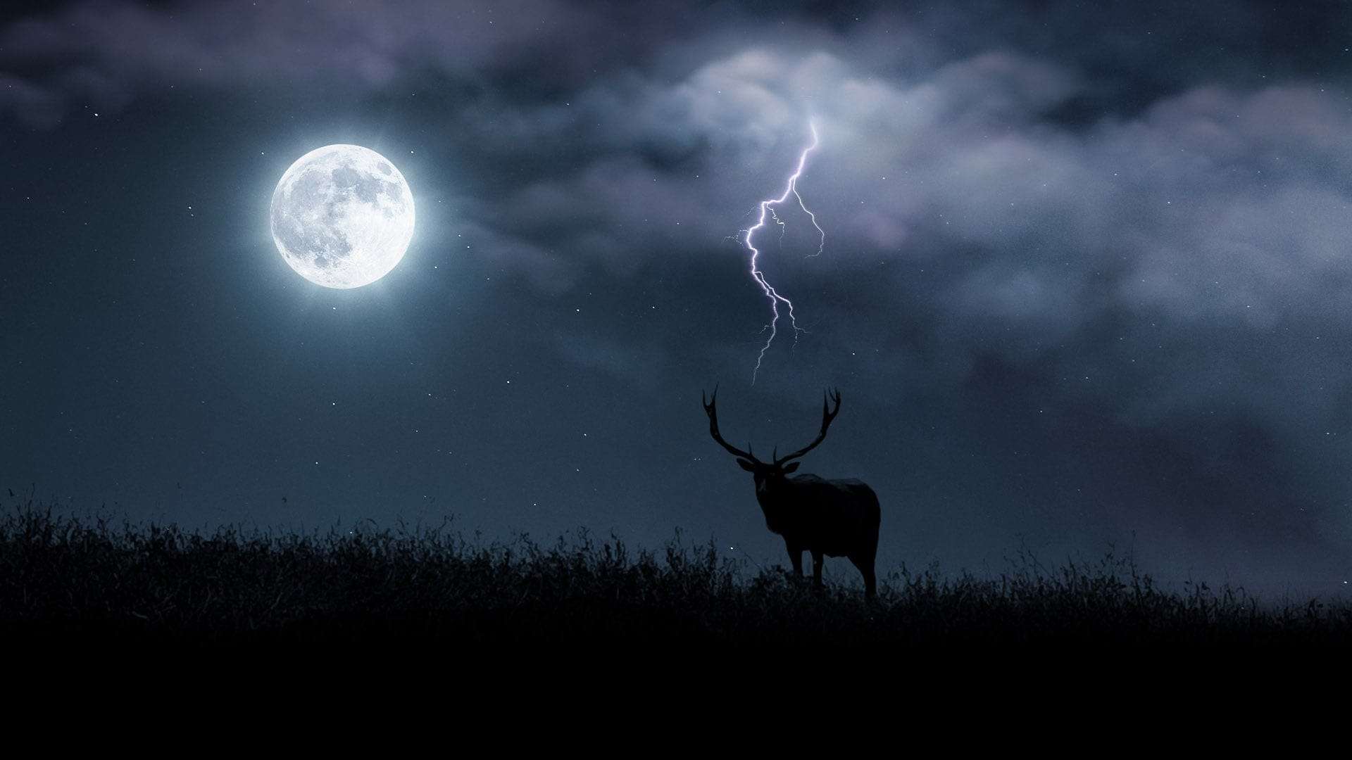 2decb6c3c3da77f42998d000f7c89c2a.jpg