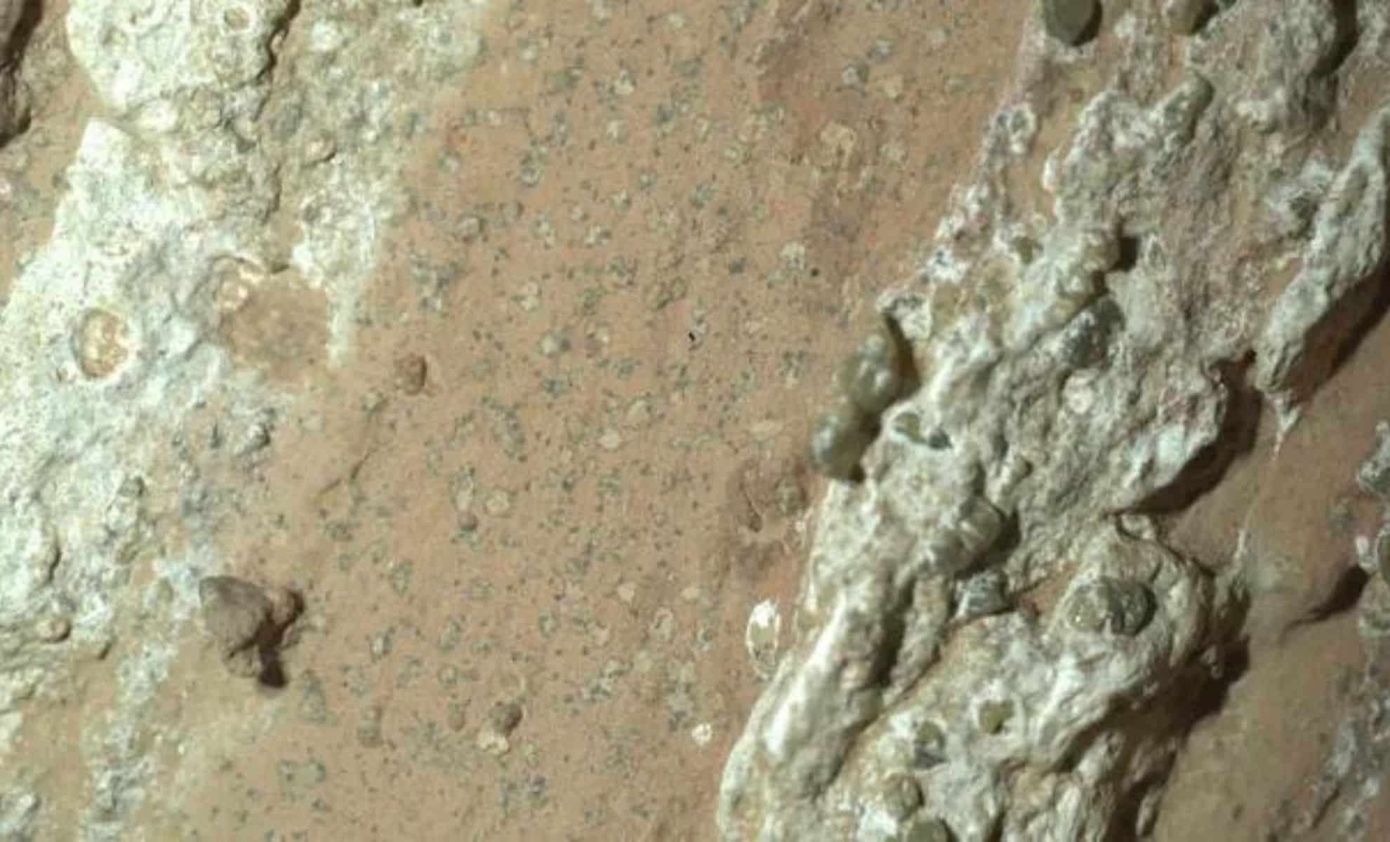 Perseverance Rover Uncovers Mars Rock Exhibiting Possible Traces of Ancient Life 