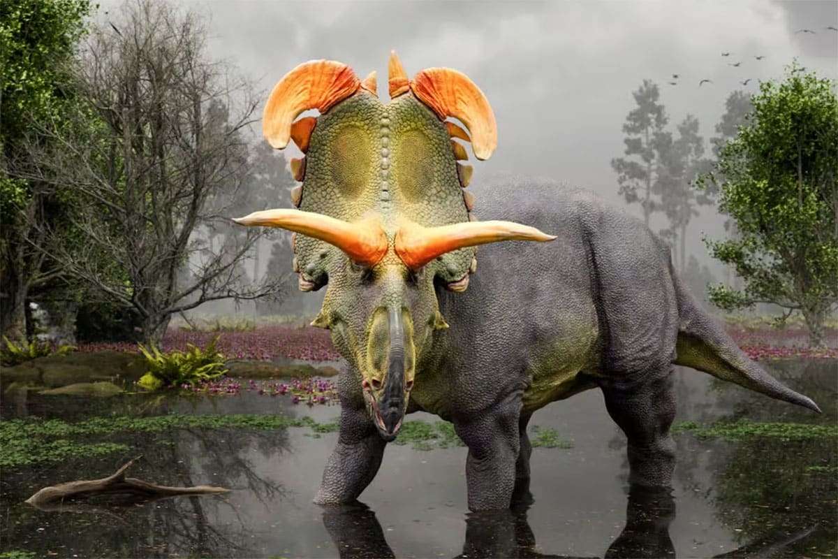 New Dinosaur Species with Horns Inspired by Loki Unearthed in Montana 