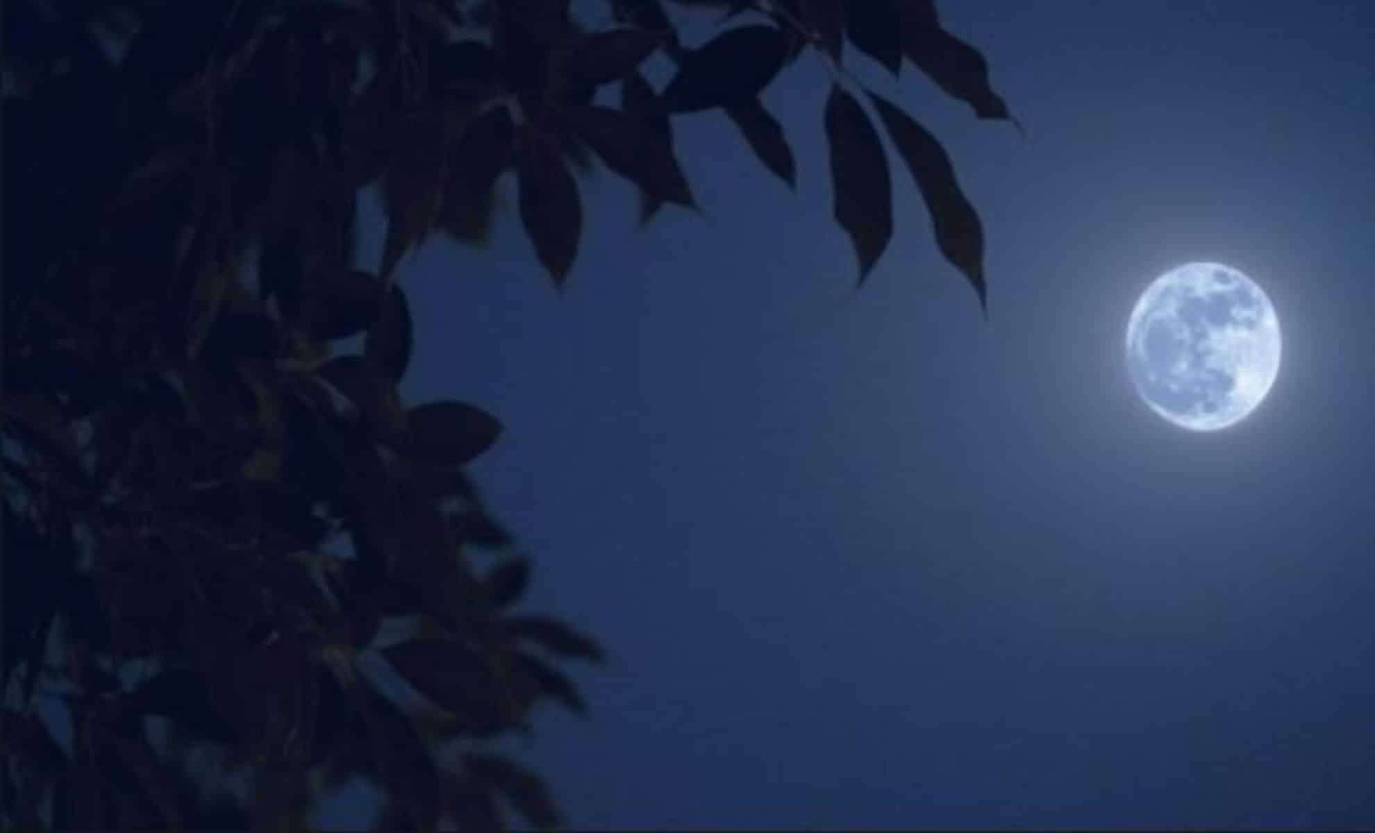August’s Stunning Sturgeon Moon: A Blue Moon Supermoon and Start of a Supermoon Quartet 