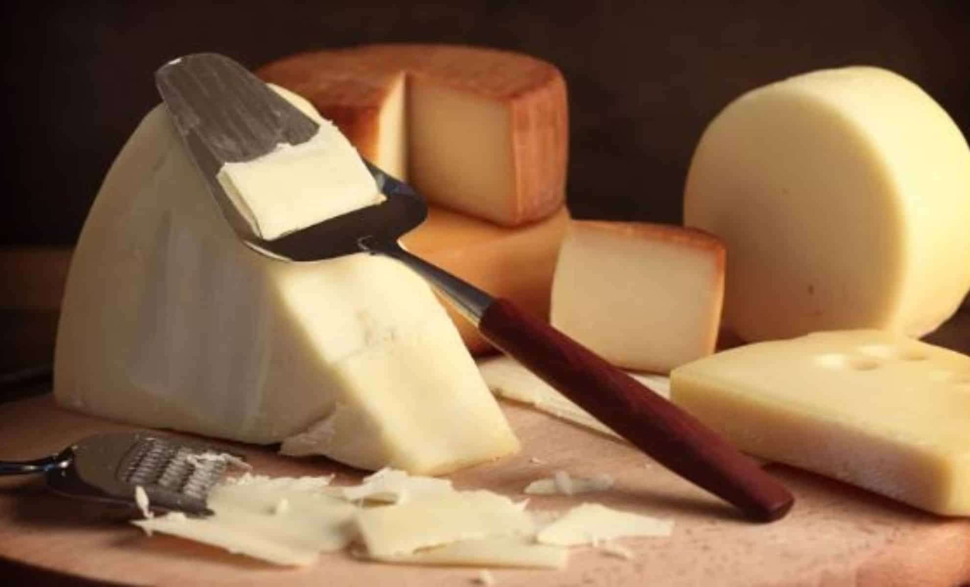 Discovering the Ideal Daily Cheese Intake: Insights from Nutrition Specialists 