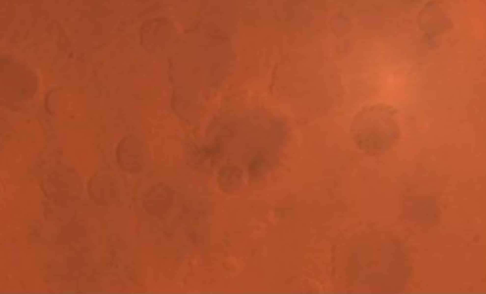 Tianwen-1 Delivers Unprecedented High-Resolution Global Map of Mars 