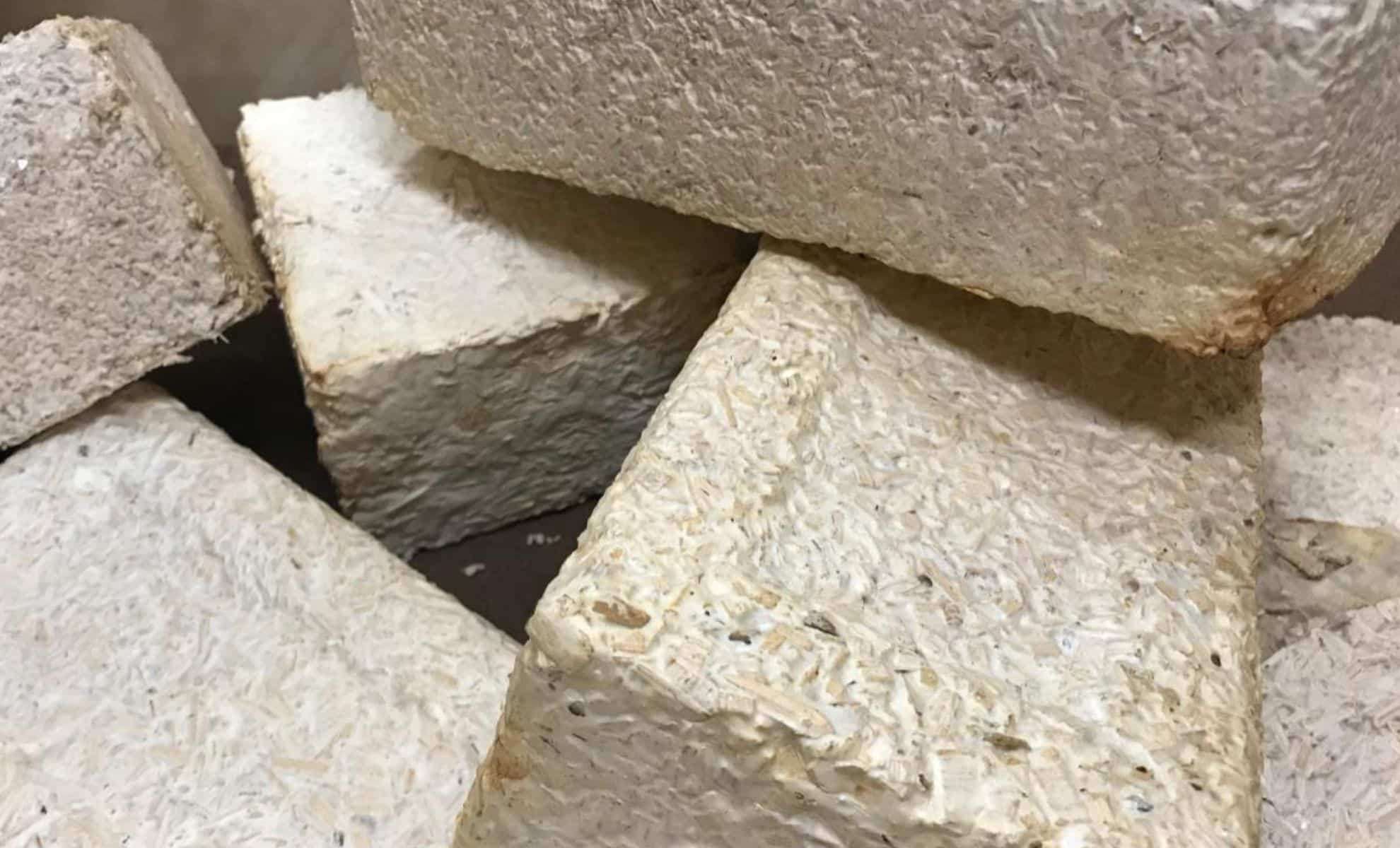 NASA Develops Fungal-Based Habitats for Sustainable Lunar and Martian Living 