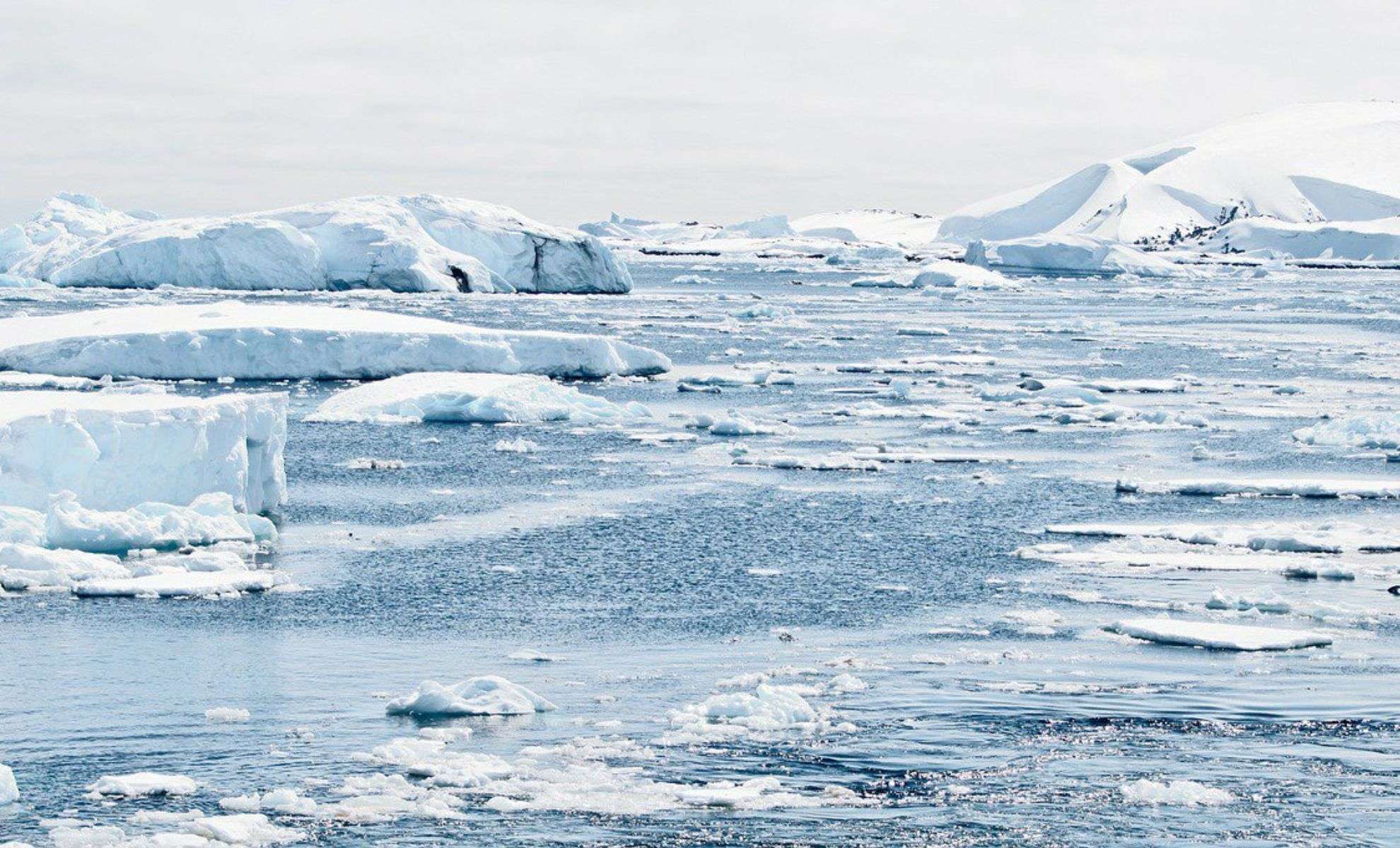 Decoding Early Human Adaptation to Cold: The Genetic Key to Survival 