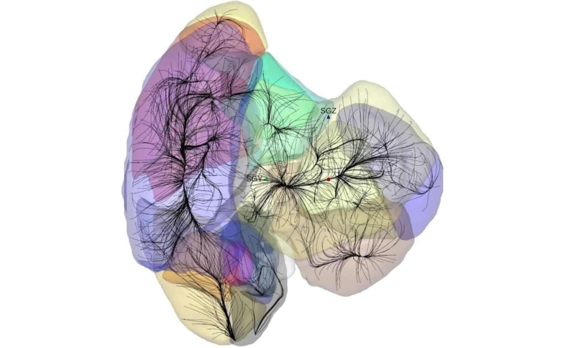 Unveiling the Vast Shapley Supercluster: Redefining Our Cosmic Horizon 