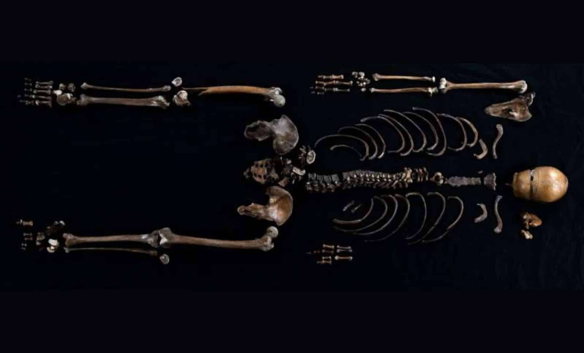 Genomic Analysis Links Medieval Skeleton in Norway to 12th-Century Norse Legend 