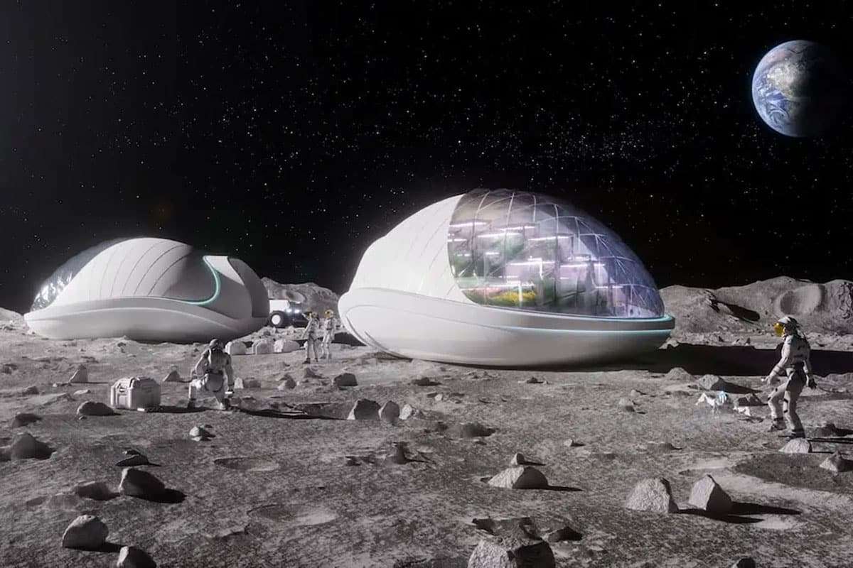 NASA Explores Mushroom-Based Homes for Lunar Habitats 