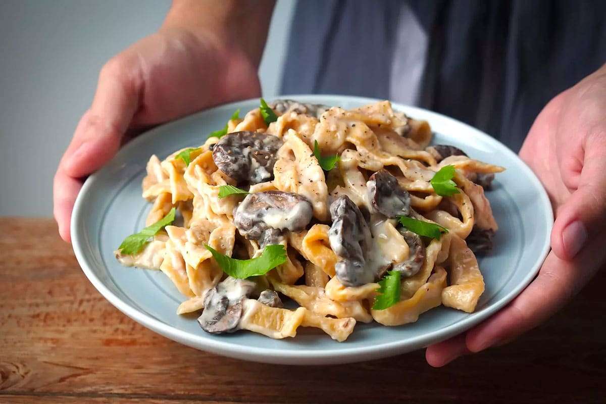 Boost Your Immunity and Bone Health This Fall with Vitamin D-Rich Mushrooms 