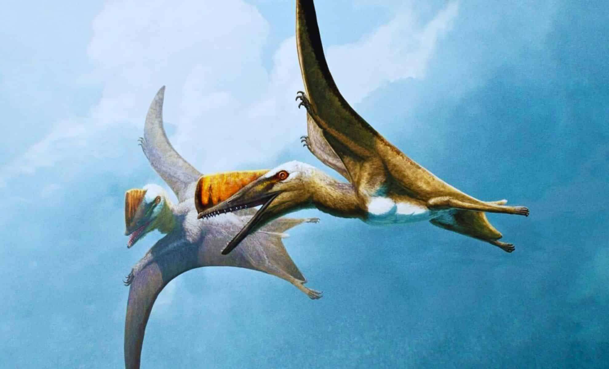 Ancient ‘Sword Tail’ Pterosaur Unveils New Clues in Flying Reptile Evolution 