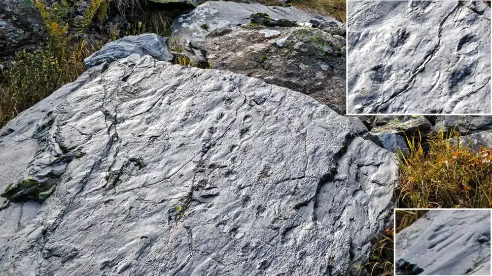 A-large-boulder-with-fossilized-footprints-of-amphibians-and-reptiles-aligned-to-form-tracks-00a78643c7a7a43d586732276c3f93e8.webp