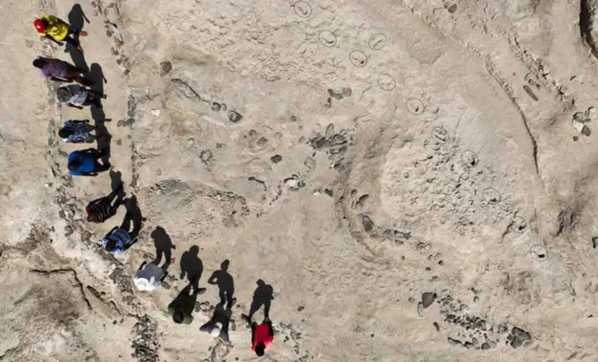 Ancient Tracks Reveal Coexistence of Two Early Human Species 1.5 Million Years Ago 