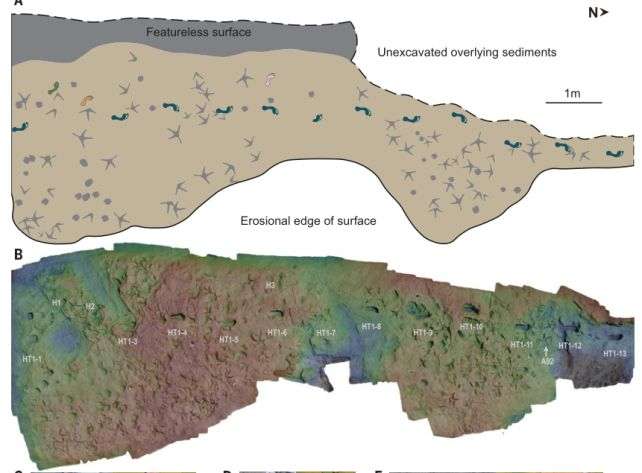 ancient-footprints-human-species-together-9fc21ebcaf6c0277541e8d3d7277d8b8.jpg