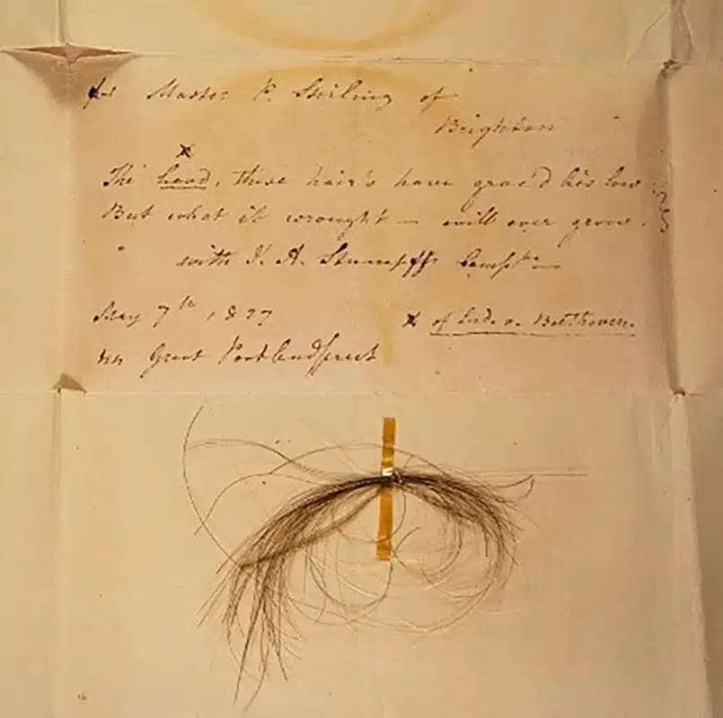 beethovens-hair-dna-3b461f6c5ca994004f97a85f05fa2b1f.jpg