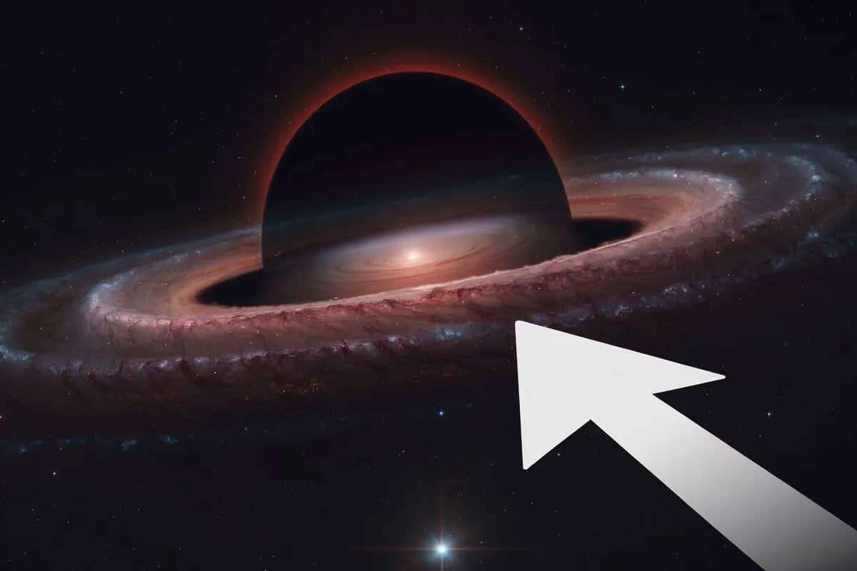 Cosmic Ripples: Could Black Holes Harbor Entire Universes? 
