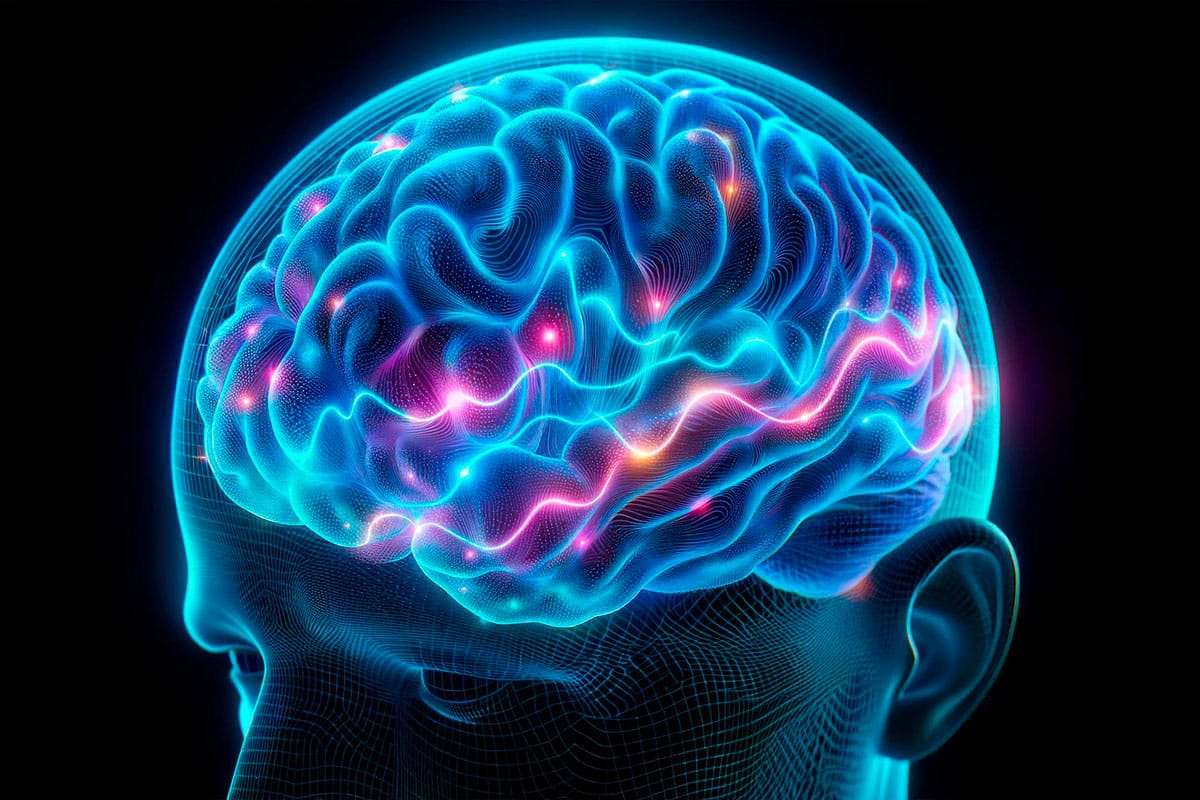 How Daily Habits Influence Brain Function for Weeks 