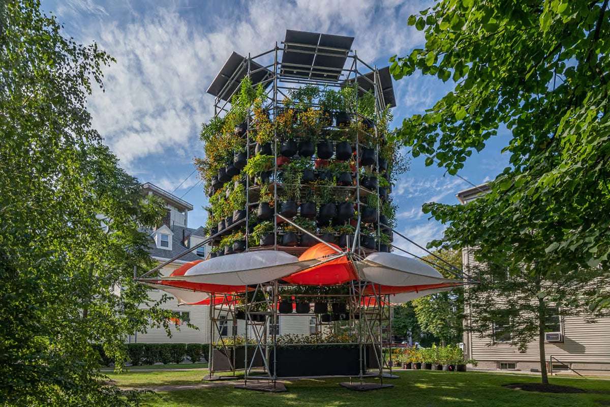 Harvard's Polinature Tower: A Revolutionary Step Towards Greener Cities 