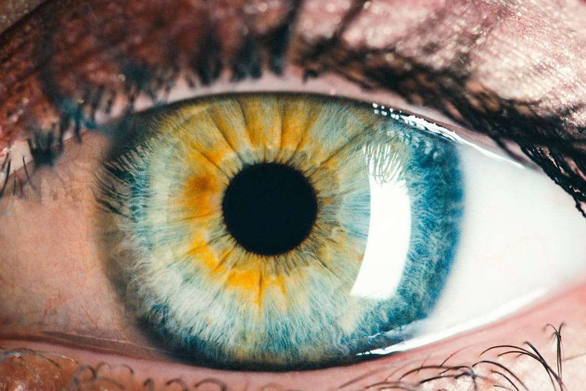 Are AI Systems Reshaping How We Think? Exploring the Rise of “System 0” Cognition 
