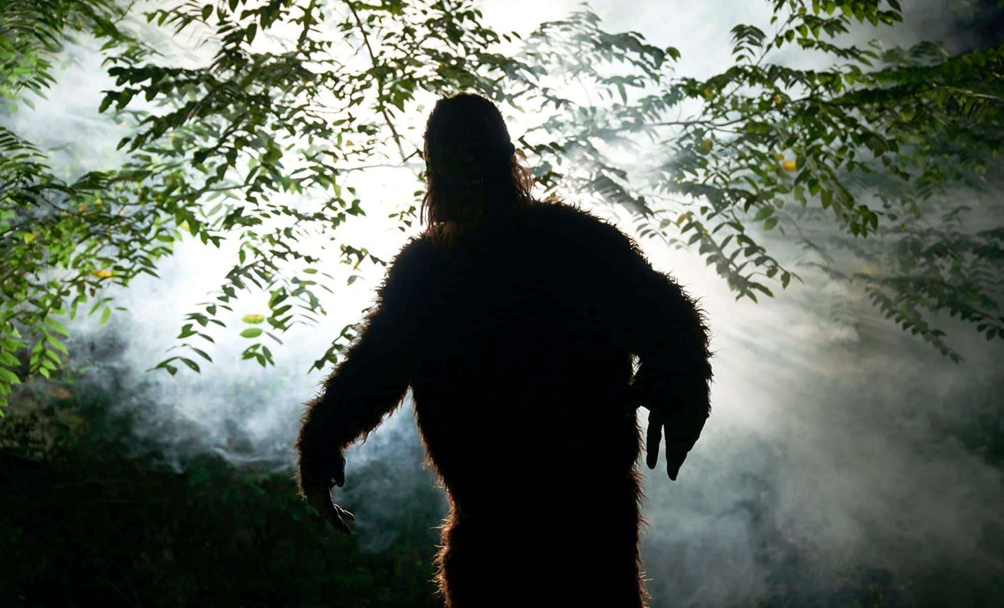 AI Stabilization Sheds New Light on Iconic Bigfoot Footage 