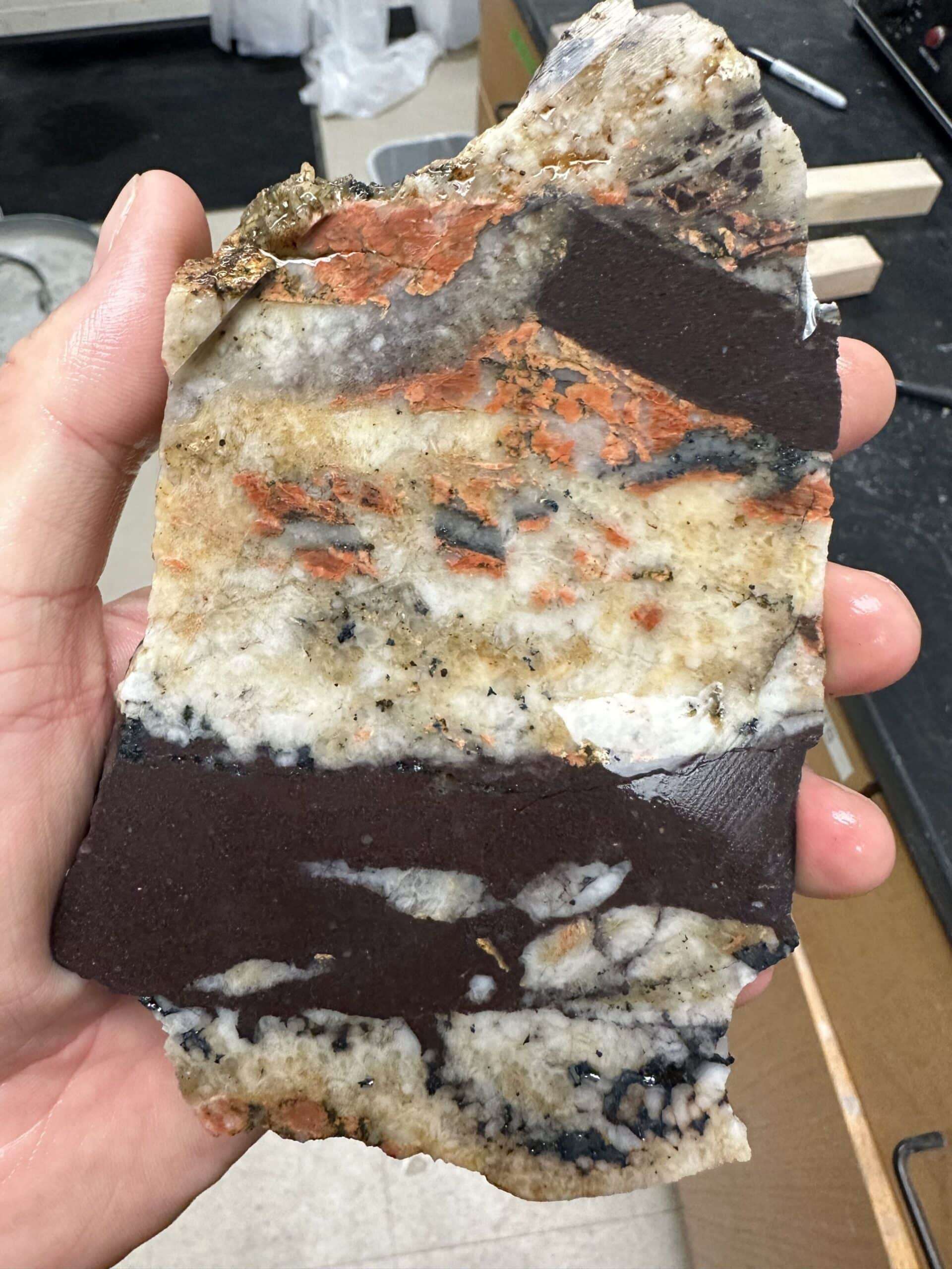 Dark-brown-bands-of-Tava-sandstone-cut-through-other-rocks.-Credit-Liam-Courtney-Davies-scaled-88636acf03ec3ea8fef69d4e49332b20.jpg