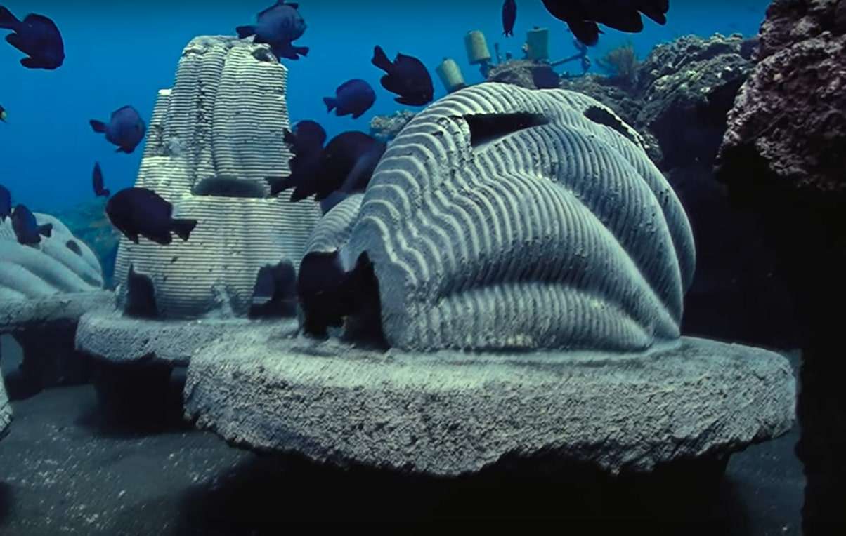 Innovative Memorial Reefs: Using Pet Ashes to Revive Coral Ecosystems 