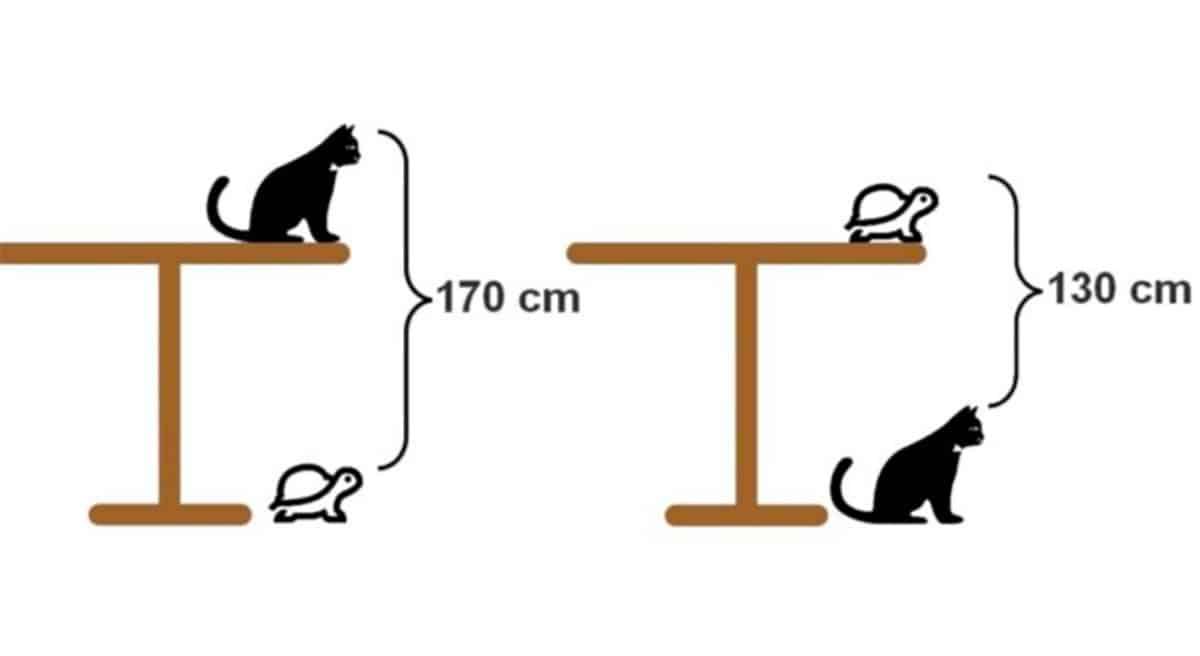 Can You Calculate the Height of This Mysterious Table? 