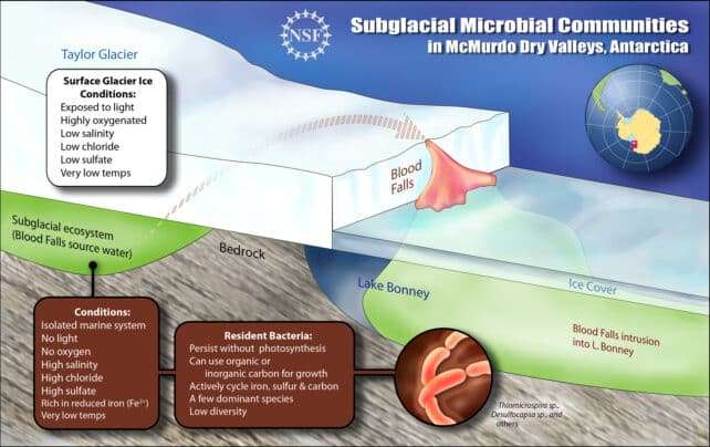 scientist-crack-case-antarctica-blood-fall-3e38ff2b965c5c0d106808e1cf94c334.jpg