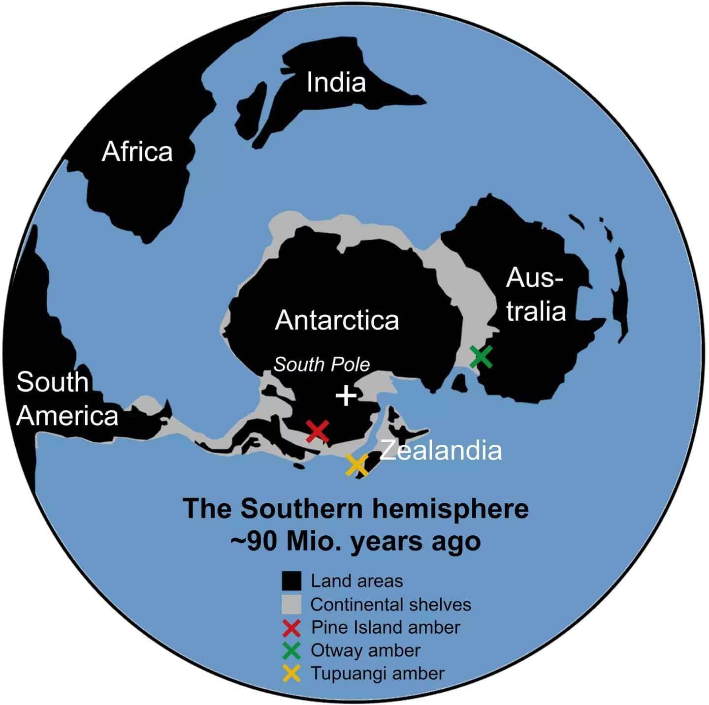 The-location-in-which-the-amber-was-discovered-71f5a1950599fe1484f27ae743ebe0a4.jpg
