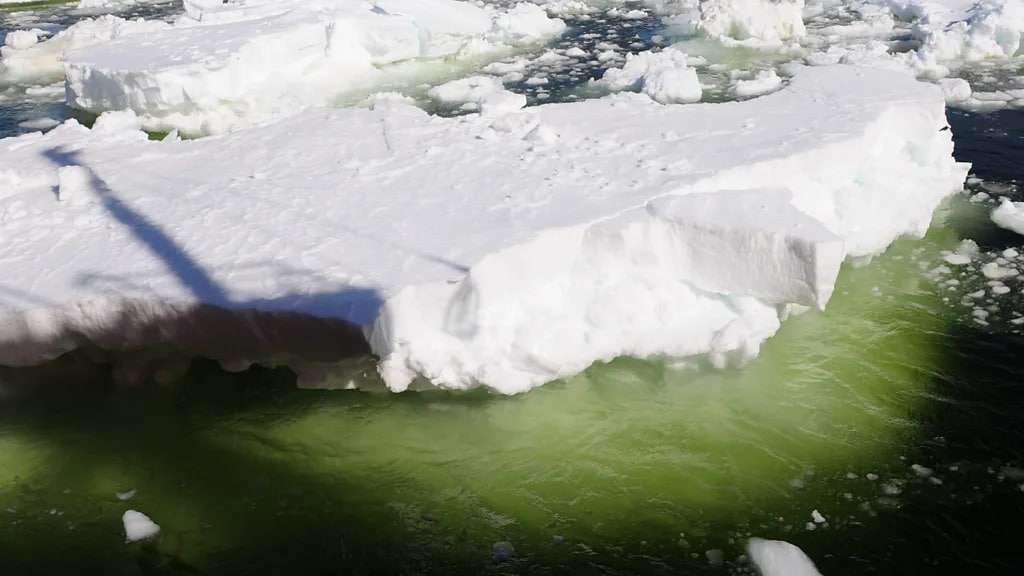 Meltwater-flowing-from-the-Dotson-Ice-Shelf-boys-iron-to-the-surface-882f6314a525ef74bd29d2765b4086a5.jpg