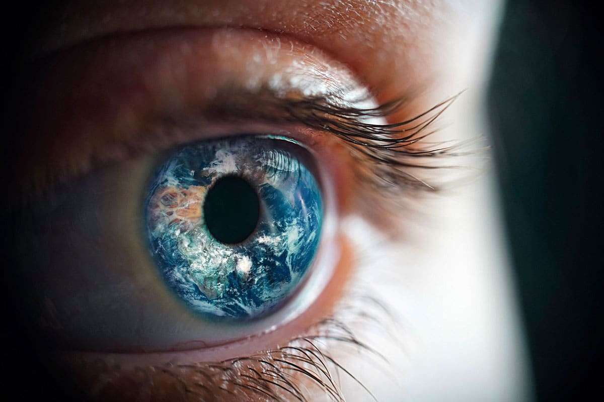 New Perspective on Why Humans Have Become the Planet’s Leading Species 