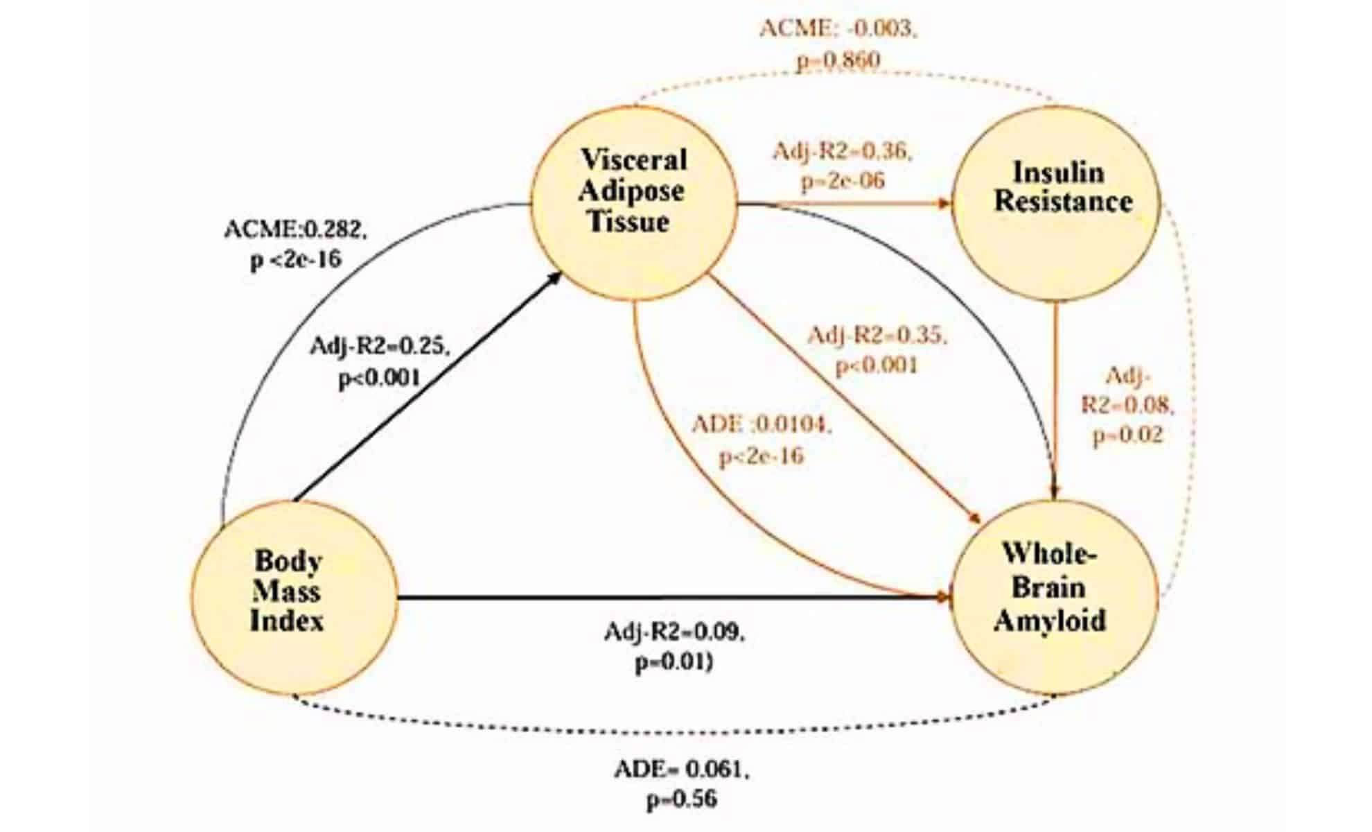 belly-fat-could-predict-alzheimers-risk-decades-before-symptoms-appear-fa189f0a73cf242ac8ad257edbb24253.jpg
