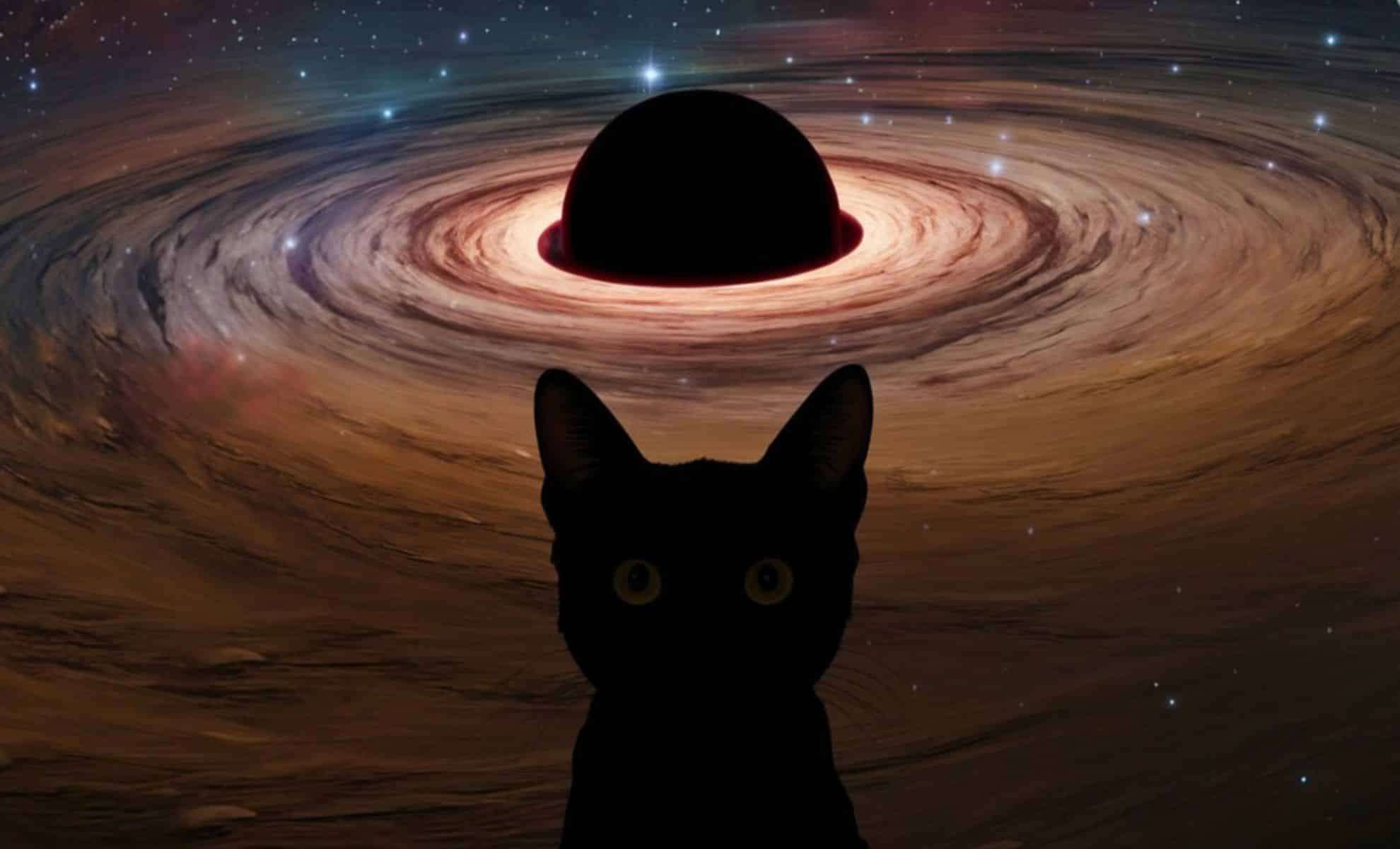 Could Your Cat Conceal a Microscopic Black Hole? Exploring New Astrophysical Theories 