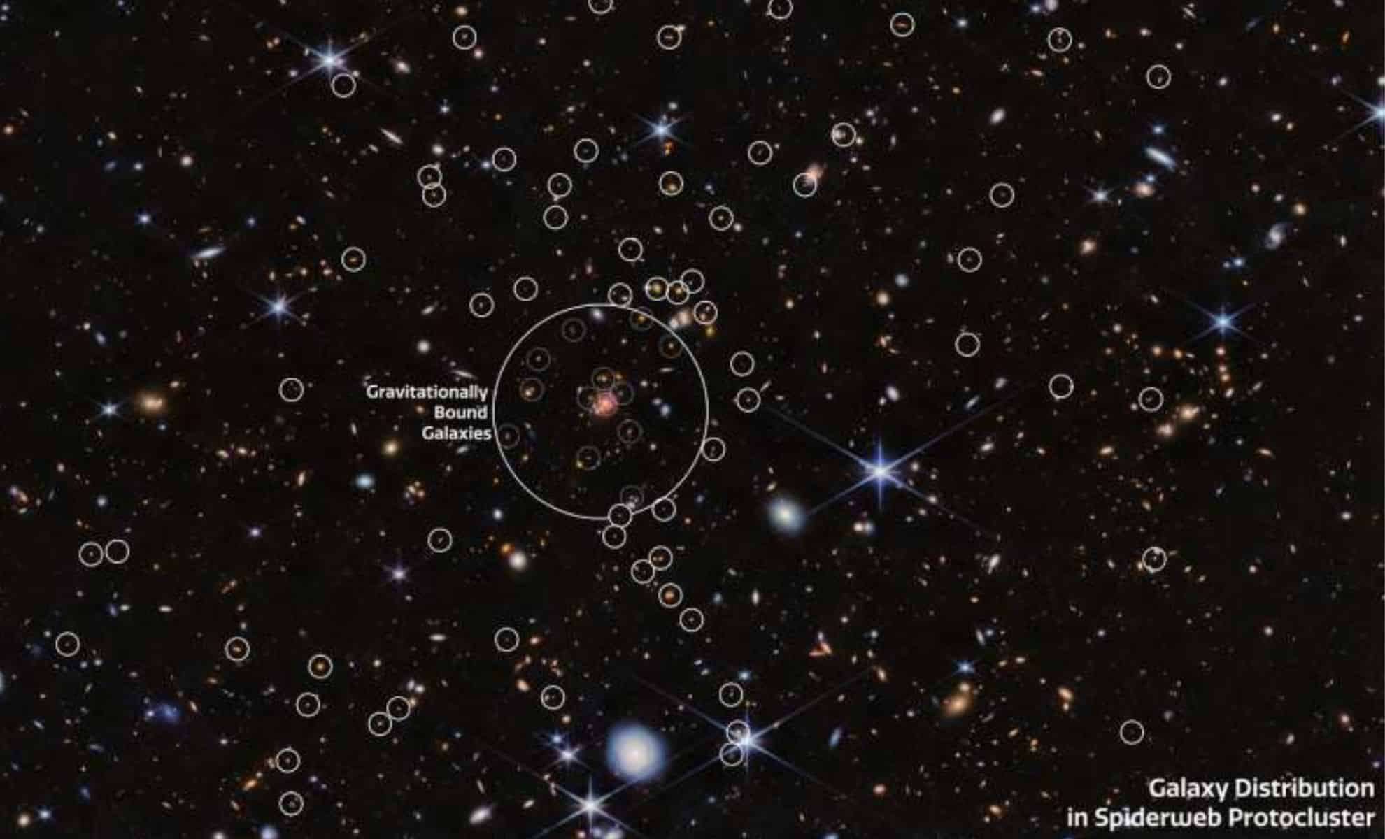 Webb Telescope Reveals Hidden Galaxies in the Faraway Spiderweb Protocluster 
