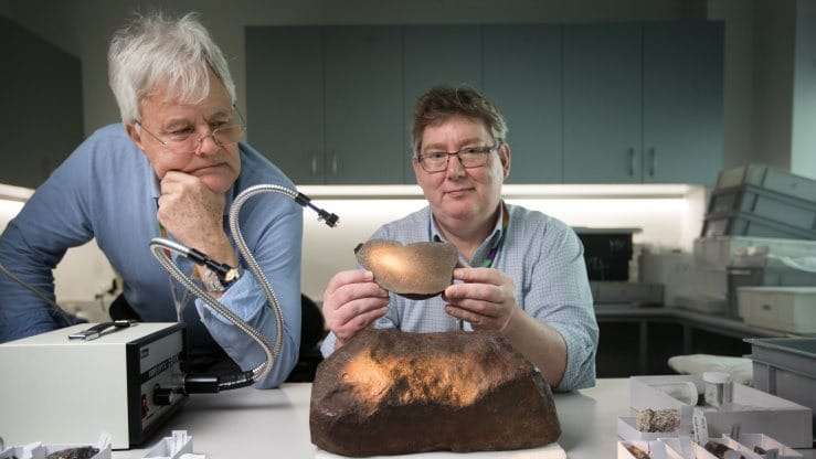 Dr-Bill-Burch-senior-curator-emeritus-and-Dermot-Henry-head-of-sciences-at-Museums-Victoria-4fb612cc1be497fc6503ee589e806472.jpg