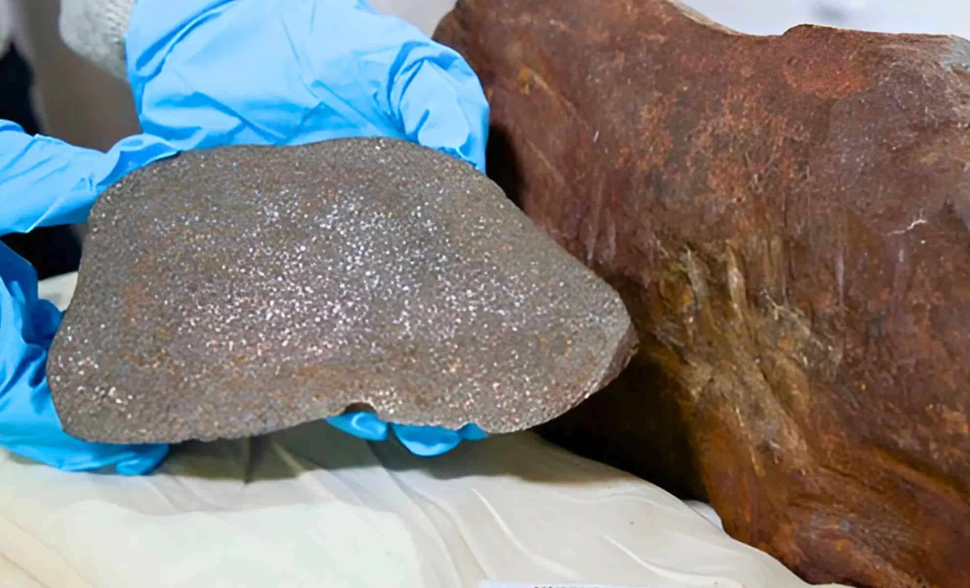 Man Discovers a Mysterious Rock Years Later Revealed as a Rare Meteorite 