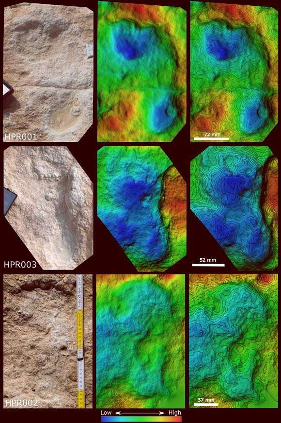 115000-year-old-human-footprint-discovery-1086673ede205d35dc1da7a7aecc68c3.jpg
