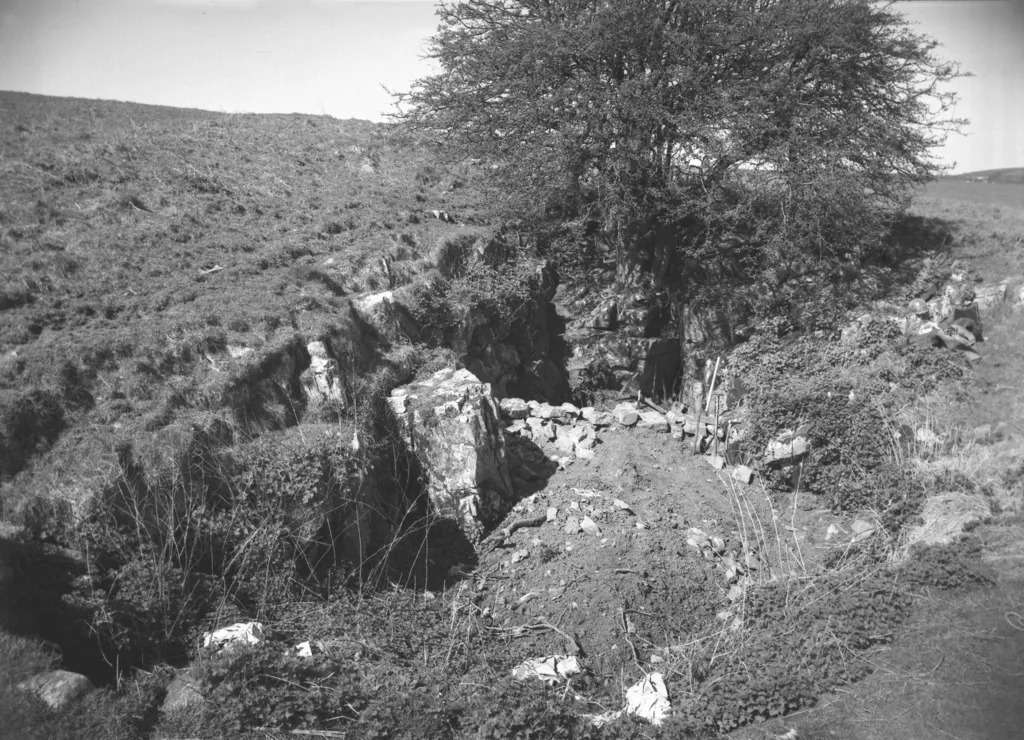 The-bones-were-found-by-cavers-in-the-1970s-in-Somerset-efbef0b3905deead1436634993cf44cb.jpg