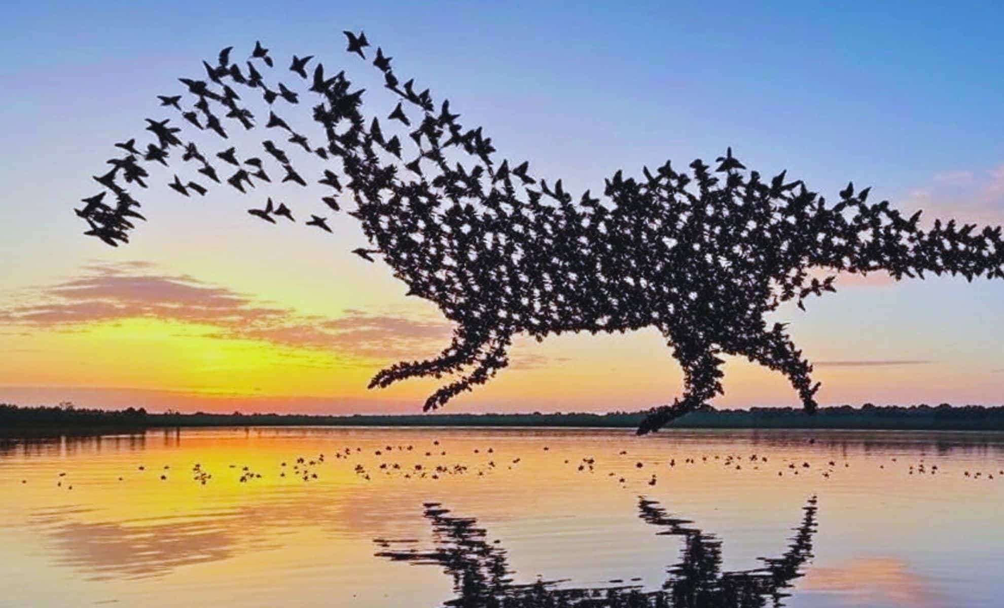 Are Dinosaurs Still With Us? Exploring the True Era of These Ancient Creatures 
