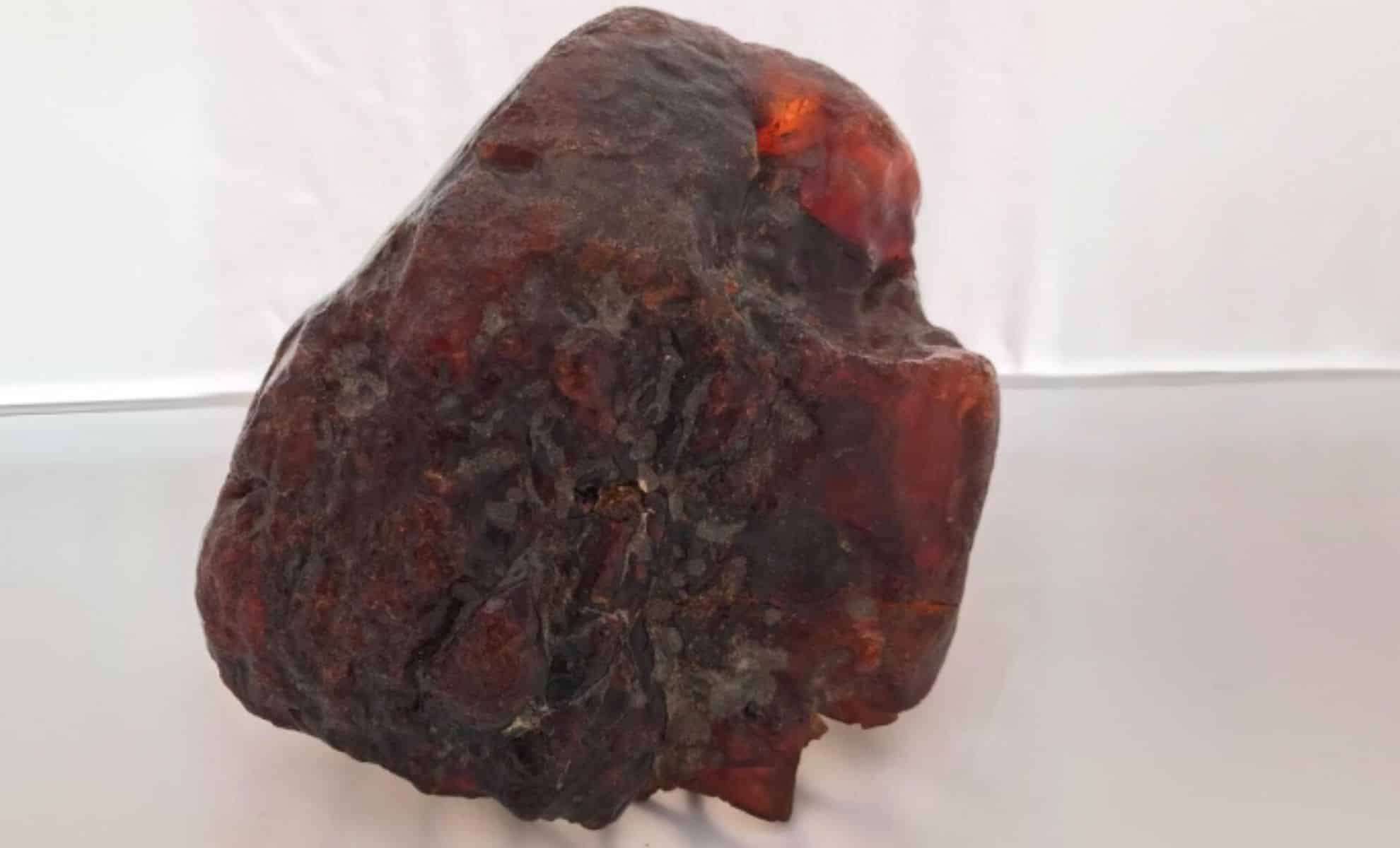 Ordinary Doorstop Revealed as a Rare $1 Million Amber Relic 
