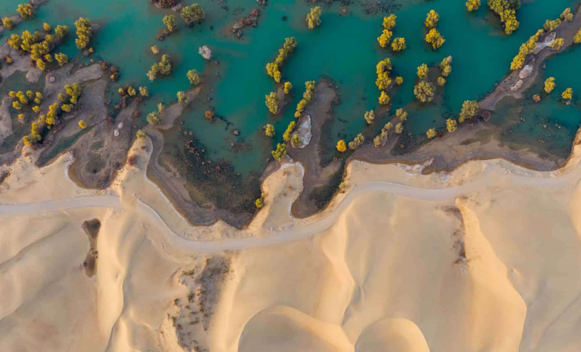 China’s Great Green Wall Reaches a Stunning New Milestone in Desert Combat 