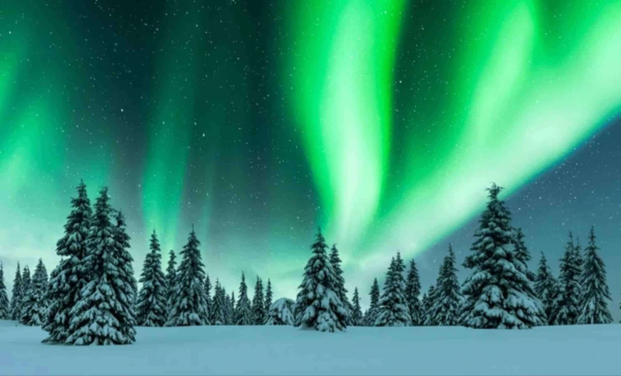 Rare Christmas Night Aurora Lights Expected to Brighten Northern Skies 