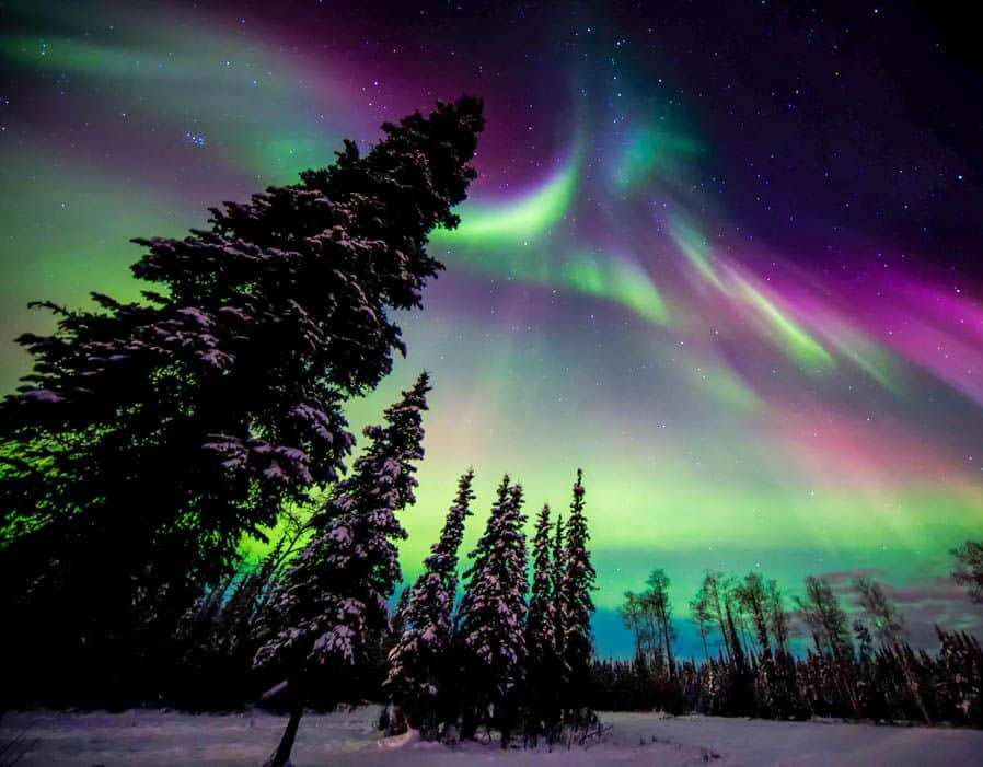 Stunning-Auroras-5ad2edeab261b9736a6572435660cbcc.jpg