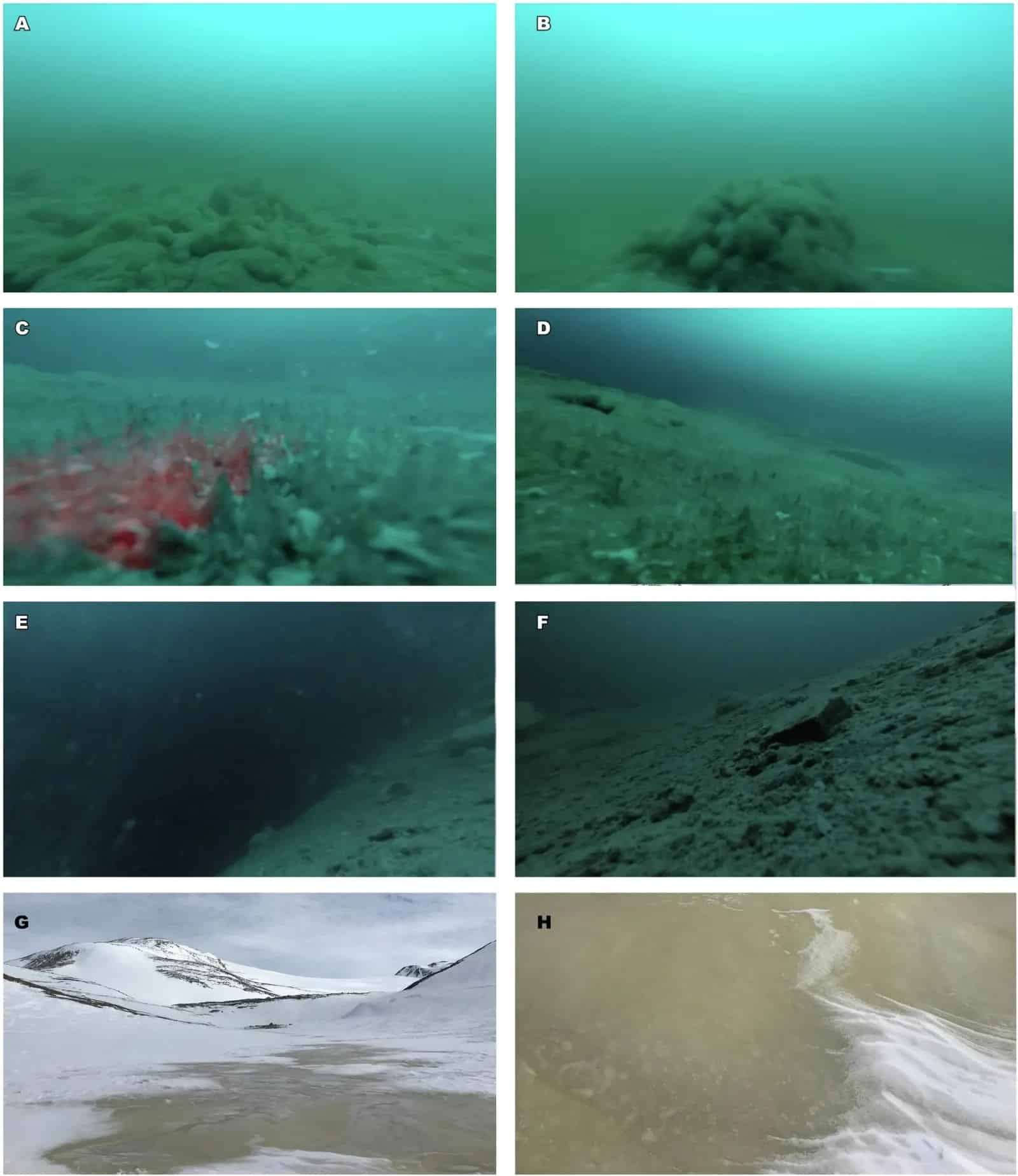 Underwater-and-surface-photography-of-Lake-Enigma-and-its-surroundings-26086e829b4d20a702bb75be75ea4dbe.jpg