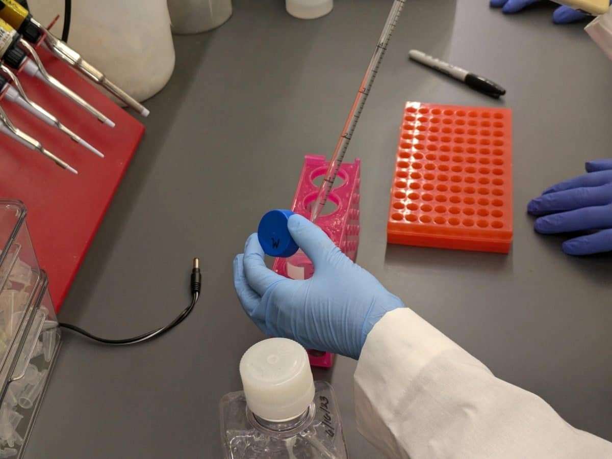 Pipetting-Liquified-Metformin-12-b29c2c38aafad06d031b48f5ad44f875.jpg