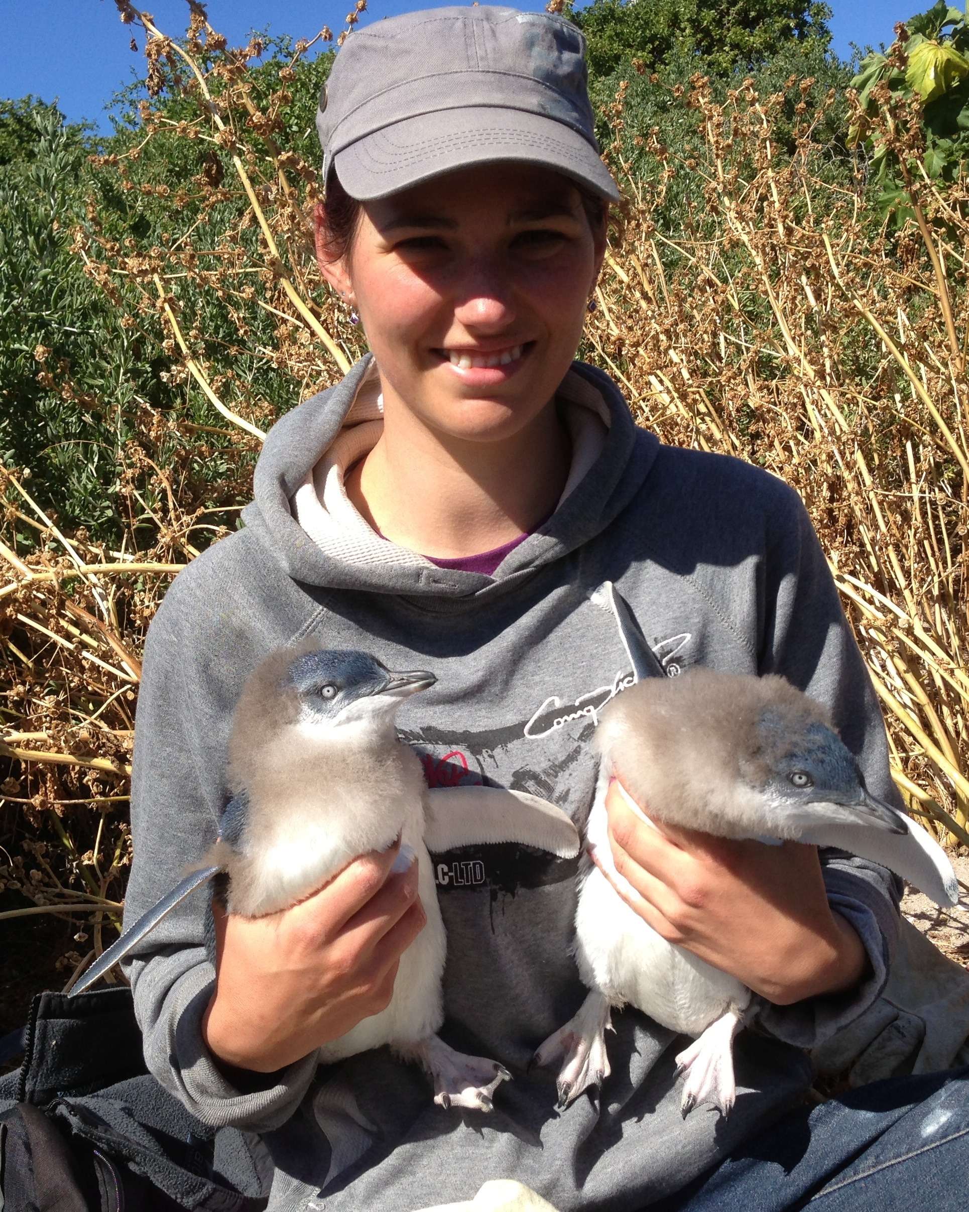 Diane-Holding-2-Penguins-411972db96cc411920181d4e7a65da12.jpg