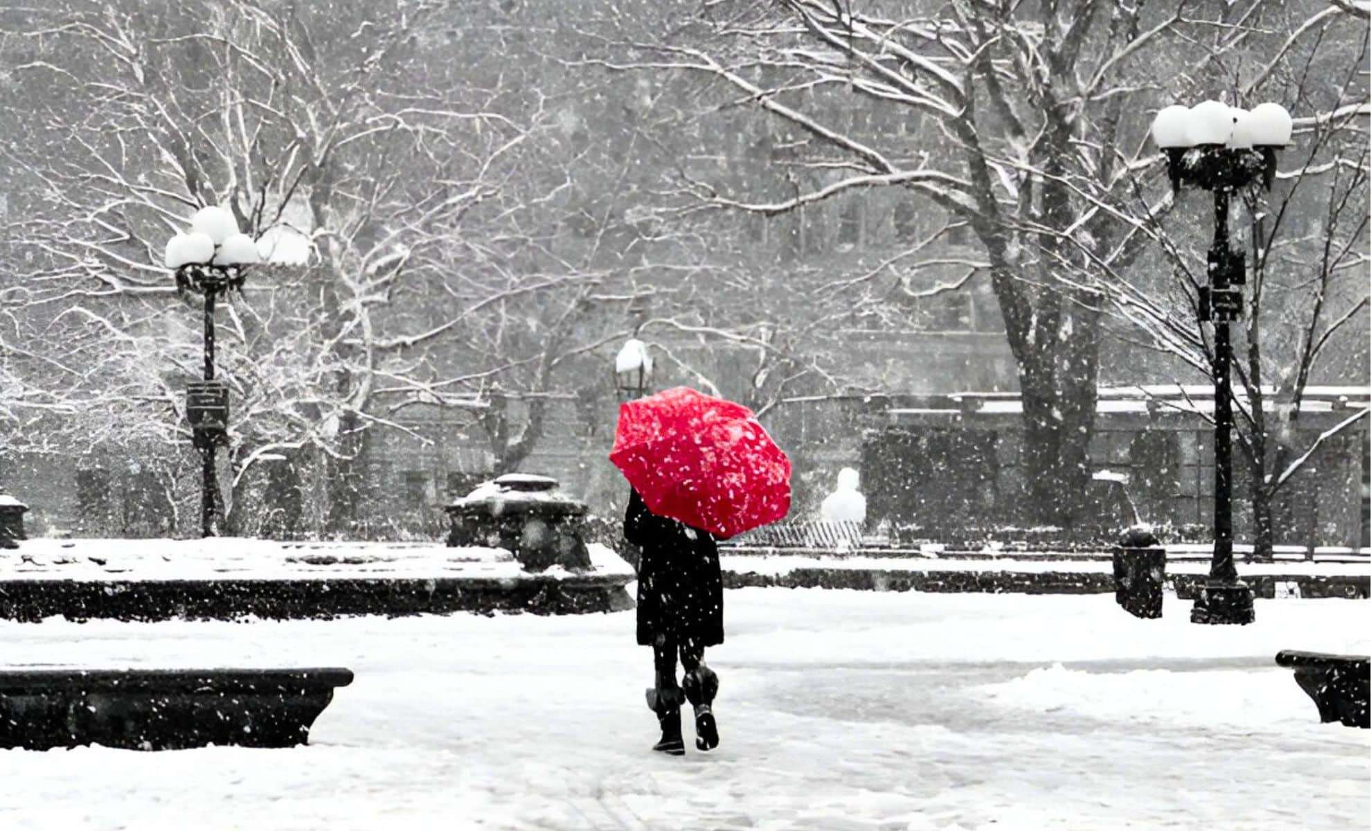 Winter Weather Warnings Impact Over 10 Million Across U.S. Ahead of Christmas Eve 